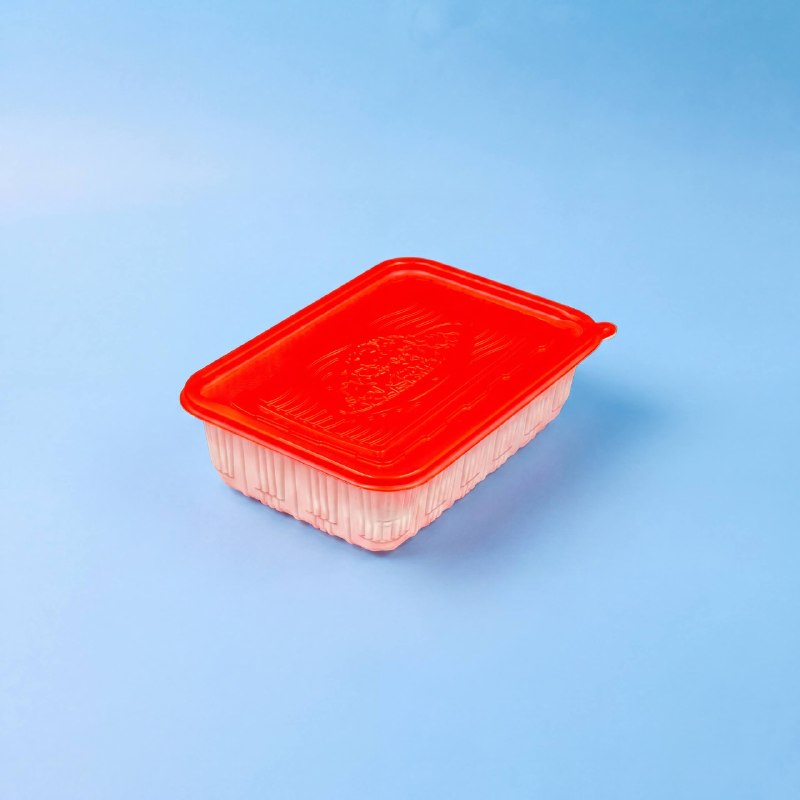Контейнер Рама с крышкой DK Plast