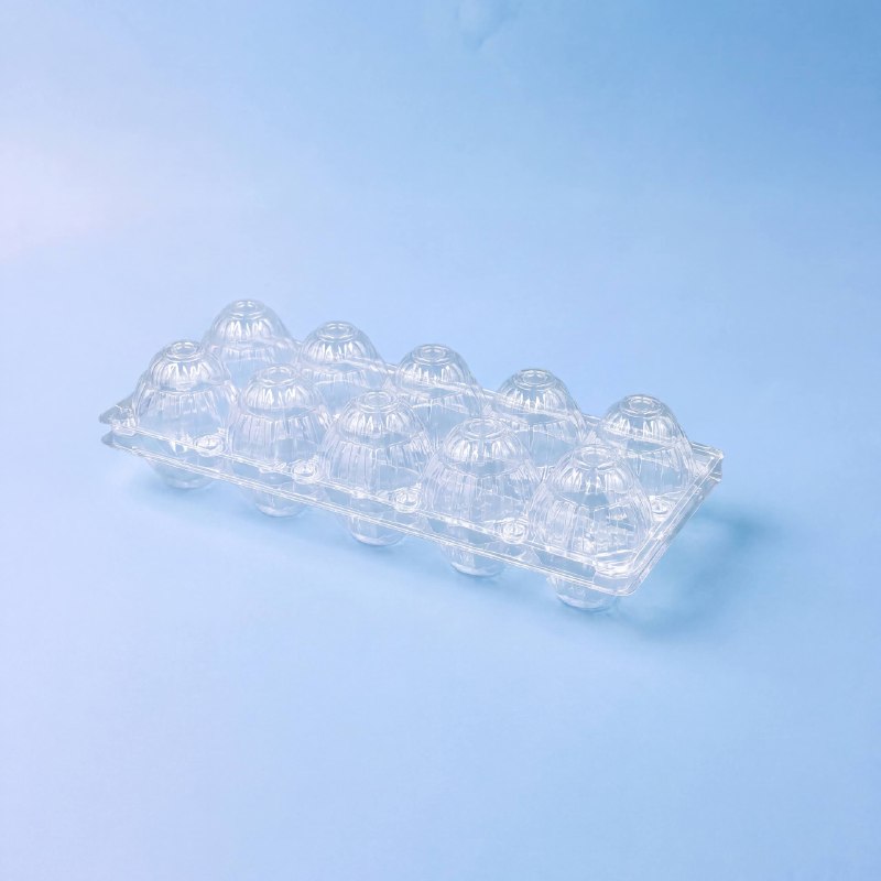 Упаковка для 10 куриных яиц DK Plast