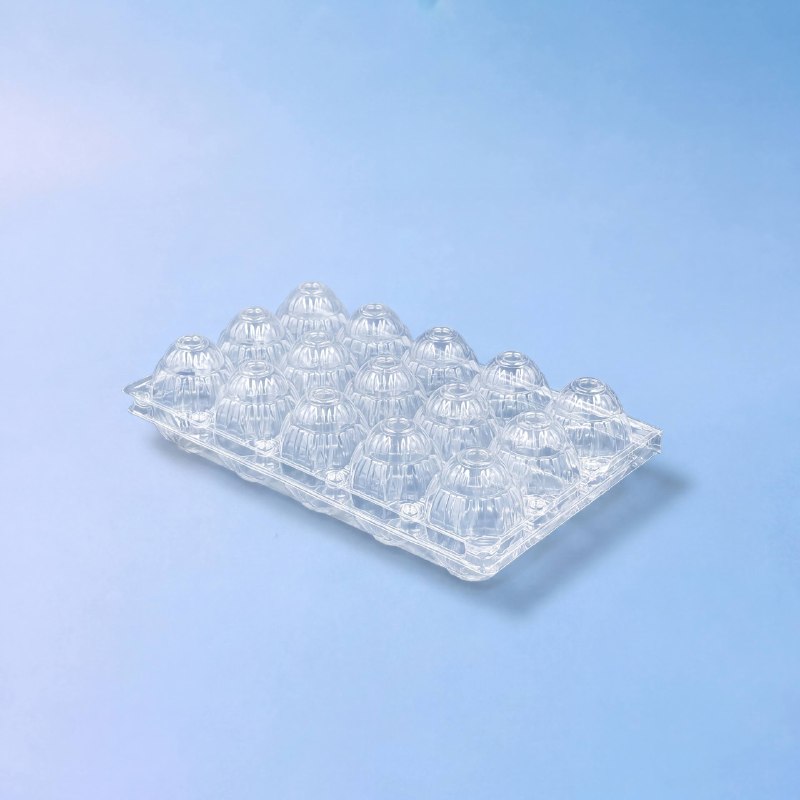 Упаковка для 15 куриных яиц DK Plast