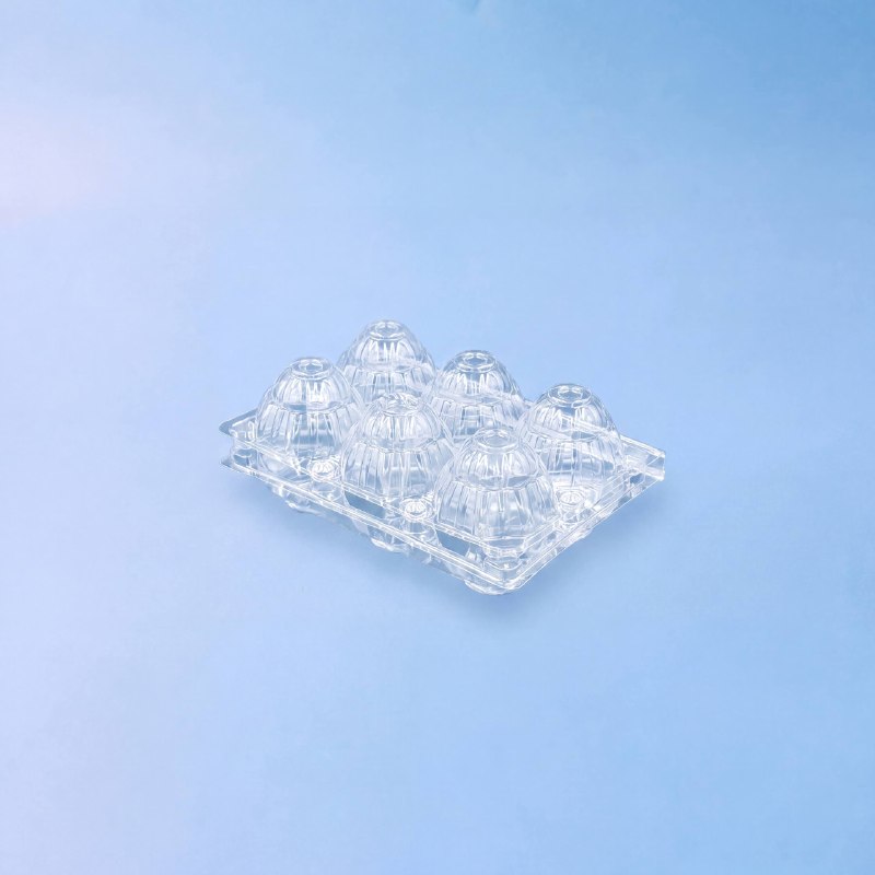 Упаковка для 6 куриных яиц DK Plast